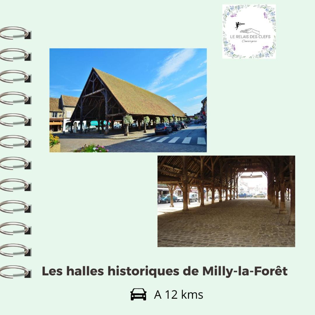 Le Relais Des Clefs - Au Calme Du Gatinais - Escapade A Deux - Terrasse Privee - Wifi - Offre Romantique Sur Demande Valpuiseaux Ngoại thất bức ảnh